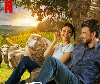 Affiche du film  A Perfect Pairing