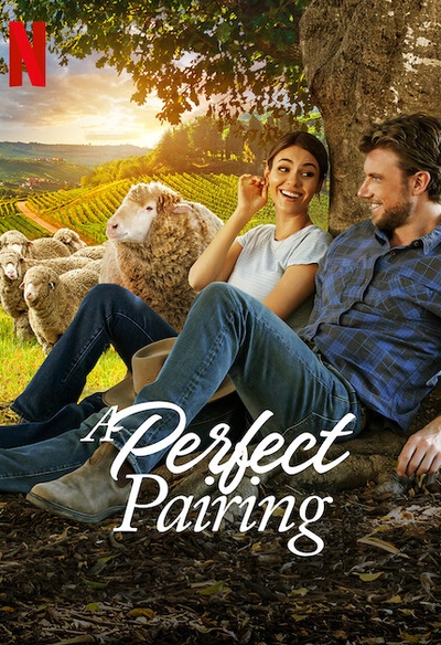 Affiche du film  A Perfect Pairing