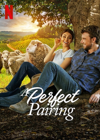 Affiche du film A Perfect Pairing