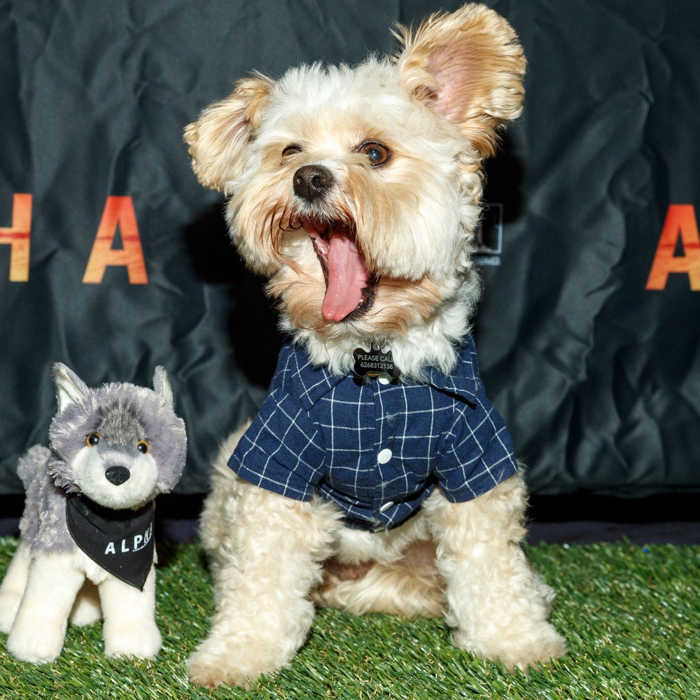 Première du film Alpha à Los Angeles