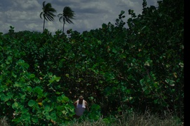 Une scène du film All You Can Eat Buddha