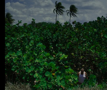 Une scène du film All You Can Eat Buddha