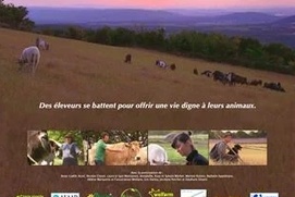 Un lien qui nous élève