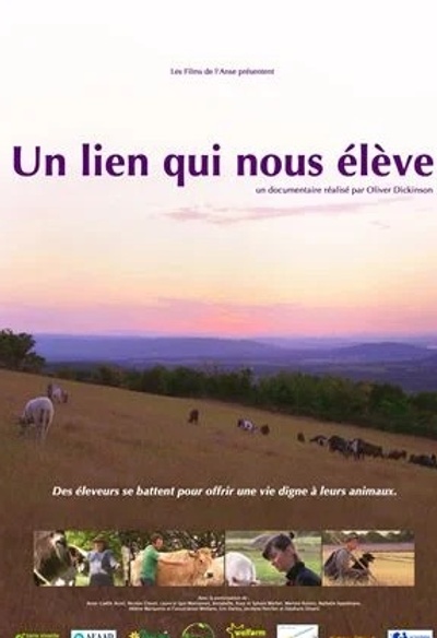 Un lien qui nous élève