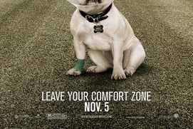 Affiche du film Due Date