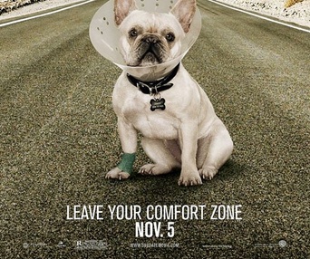 Affiche du film Due Date