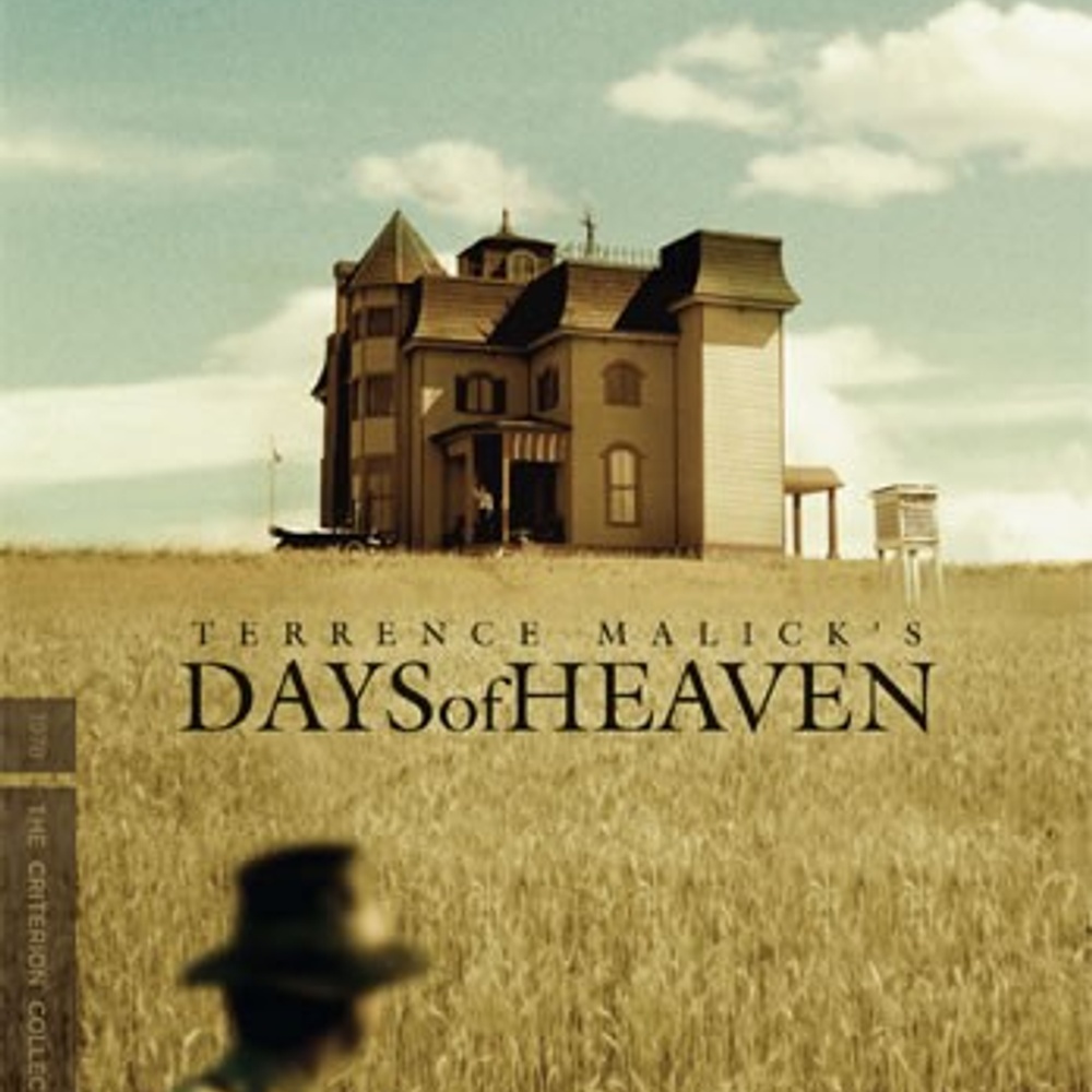 Affiche du film Days of Heaven