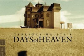 Affiche du film Days of Heaven