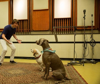 Une scène du film Love & Mercy