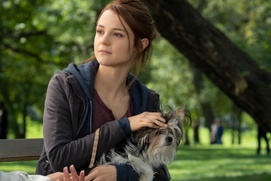 Une scène du film A Dog's Journey