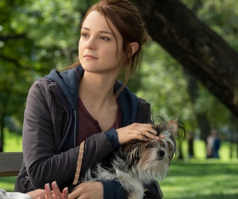 Une scène du film A Dog's Journey