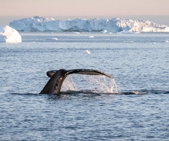 Une scène du film Under Thin Ice