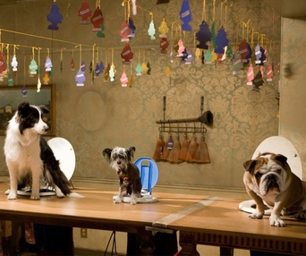 Scène du film Hotel for Dogs