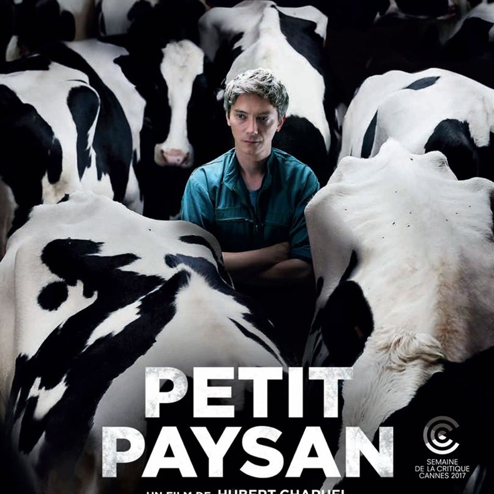 Images du film Petit paysan