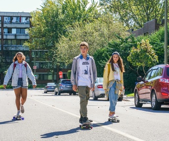 Image du film Pas d'chicane dans ma cabane
