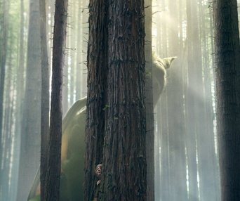 Affiche du film Pete's Dragon