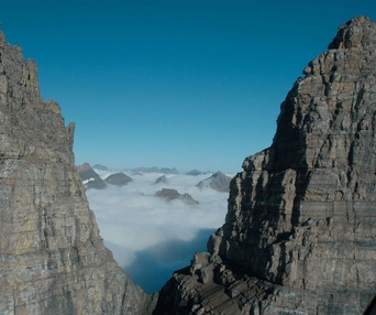 Scène du film Earth