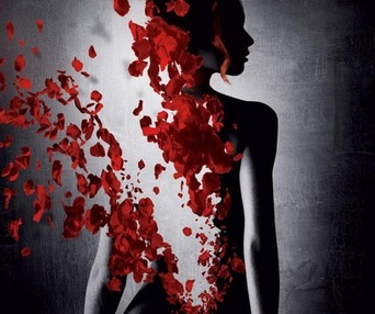 Affiche du film Perfume - The Story of a Murderer