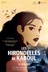 Affiche du film Les hirondelles de Kaboul