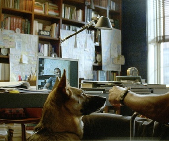 Scène du film I Am Legend