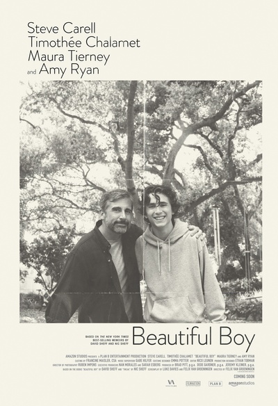 Affiche du film Beautiful Boy