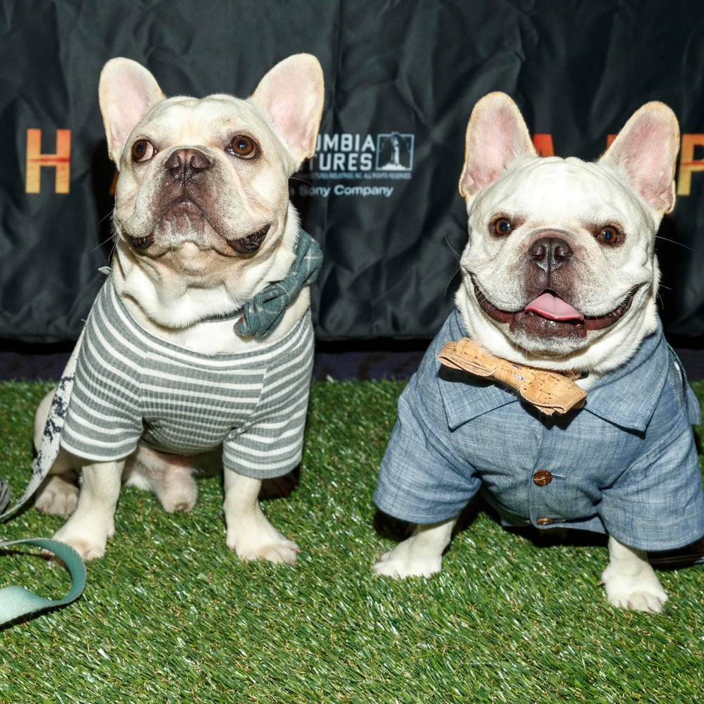 Première du film Alpha à Los Angeles