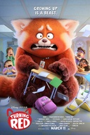 Affiche du film Alerte rouge