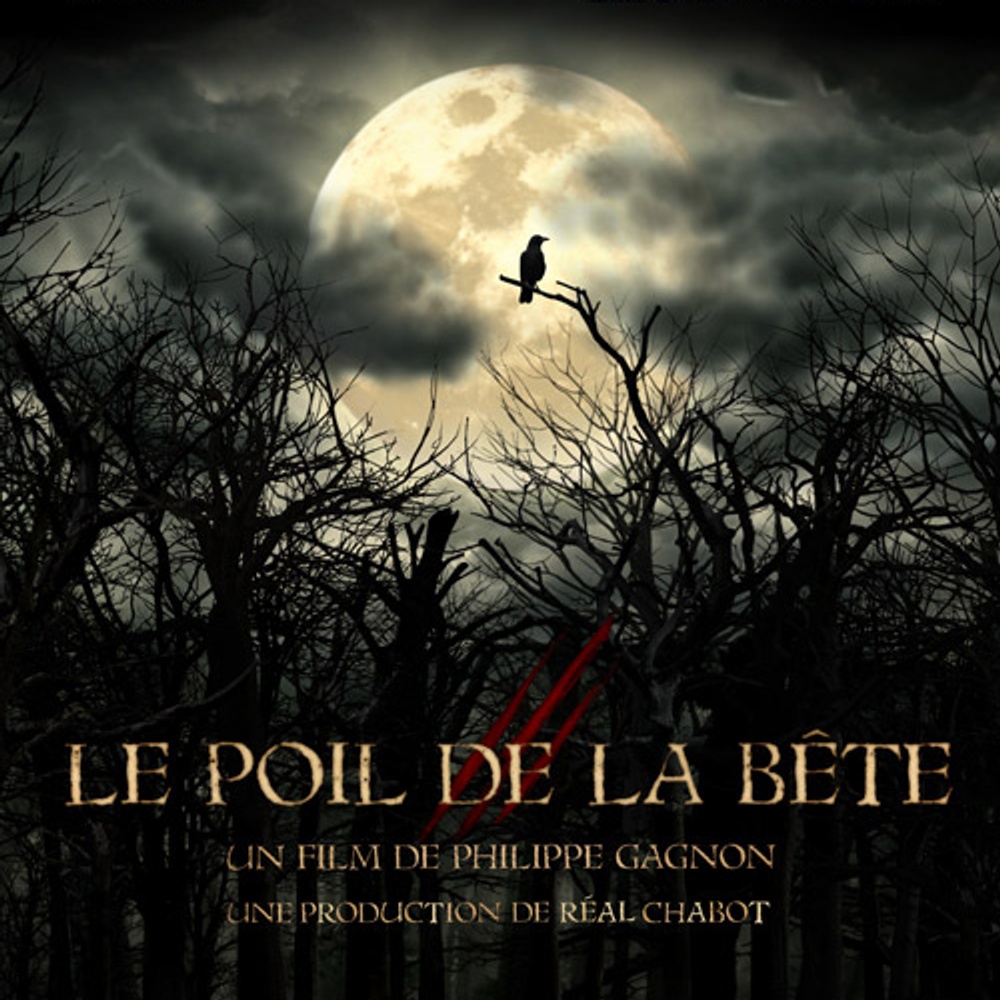 Affiche du film Le poil de la bête