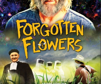 Affiche du film Les Fleurs oubliées
