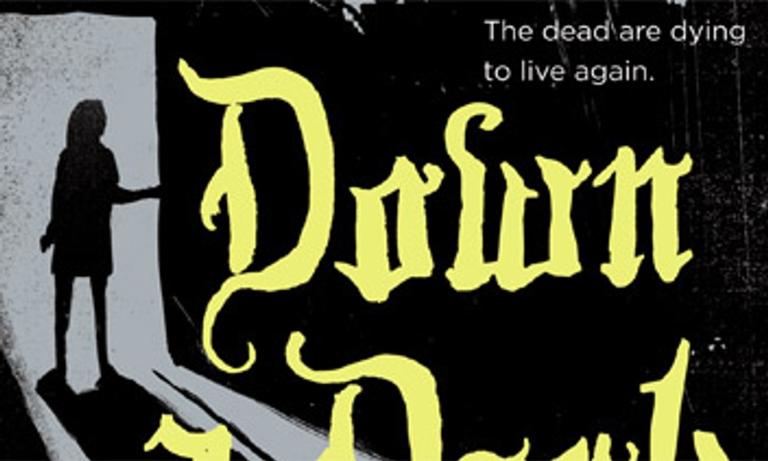 Stephenie Meyer veut produire l'adaptation de Down a Dark Hall