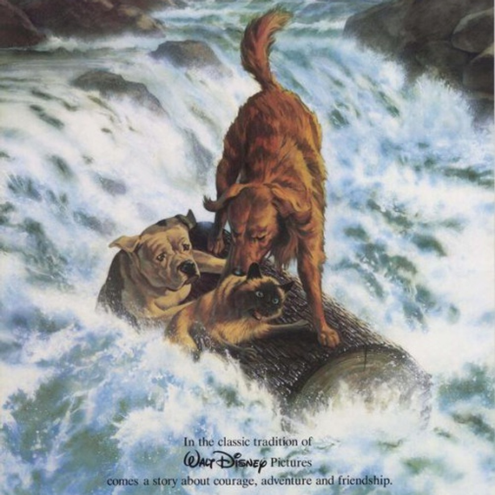 Affiche du film Homeward Bound: The Incredible Journey