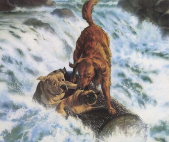Affiche du film Homeward Bound: The Incredible Journey