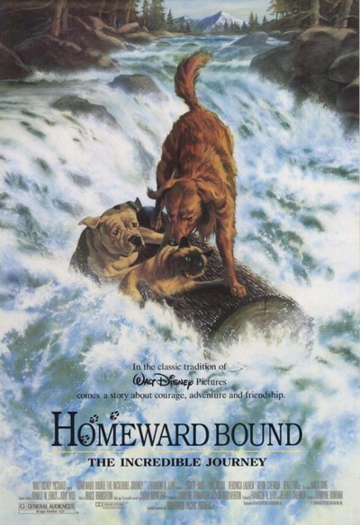 Affiche du film Homeward Bound: The Incredible Journey