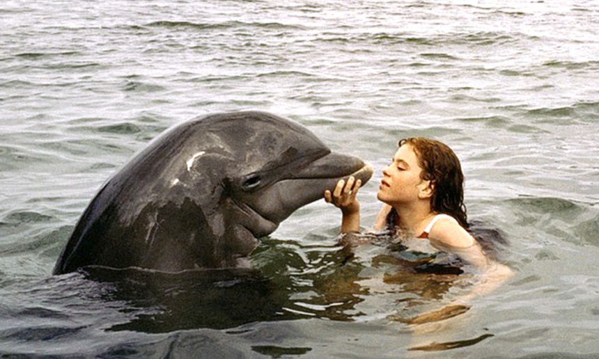La grenouille et la baleine a 25 ans