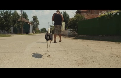 Bande-annonce en anglais