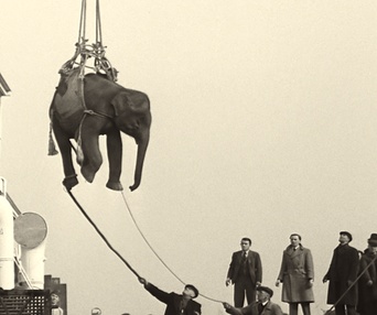 Image du film Soundtrack to a Coup d'Etat
