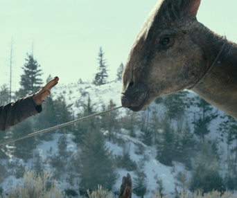 Une scène du film Jurassic World: Dominion