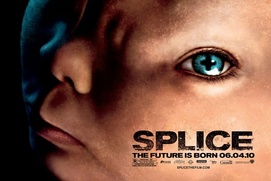 Affiche du film Splice
