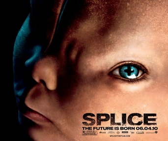 Affiche du film Splice