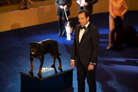 Une scène du film Show Dogs Une scène du film Show Dogs