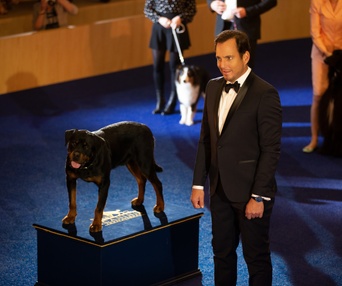 Une scène du film Show Dogs