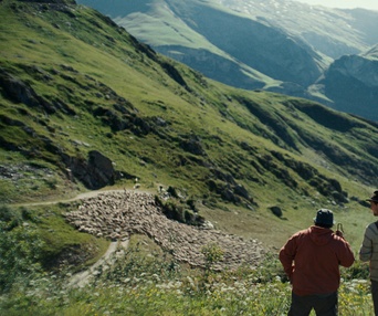 Image du film Bergers