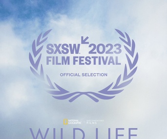 Affiche du film Wild Life