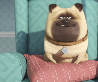 Une scène du film The Secret Life of Pets