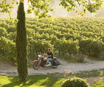Scène du film Un bon cru