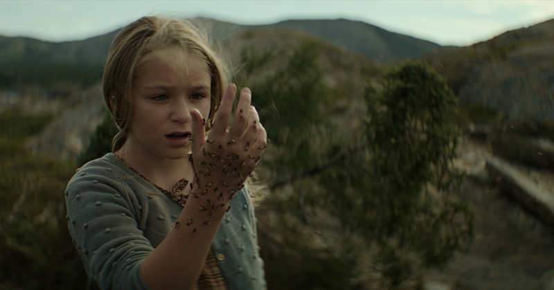 Image du film The King Tide