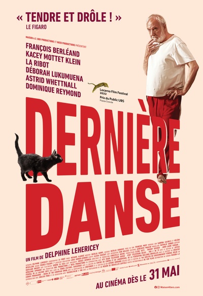 Affiche du film Dernière danse