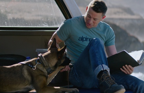 Une scène du film Dog
