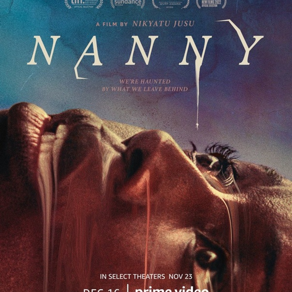 Affiche du film Nanny