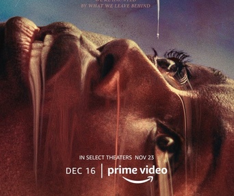 Affiche du film Nanny